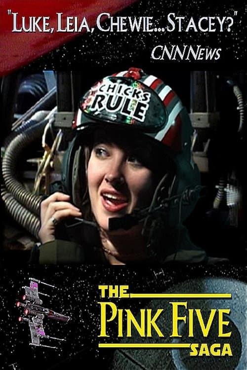 Pink Five poster